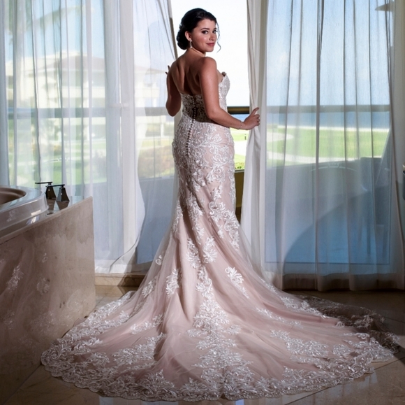 Wedding Dress: Essense of Australia - Picture 9 of 14